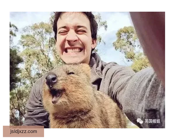 人类与袋鼠力量速度与智慧对决的极限生存想象实验全解析前瞻推演