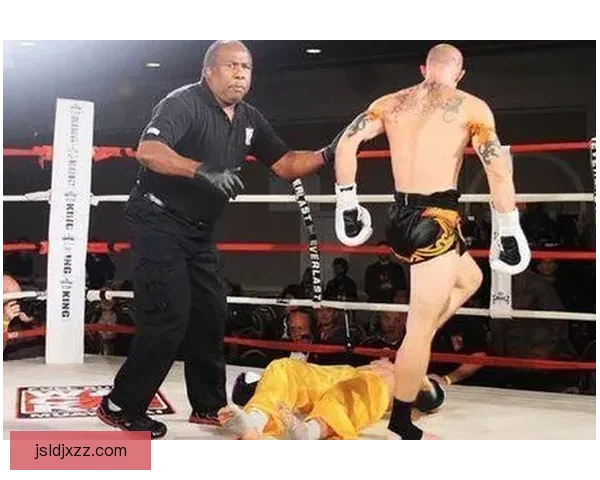 一龙对决皮克索尔巅峰之战背后的力量荣誉与未来走向全面解析预测 一龙对决皮克索尔巅峰之战背后的力量荣誉与未来走向全面解析预测